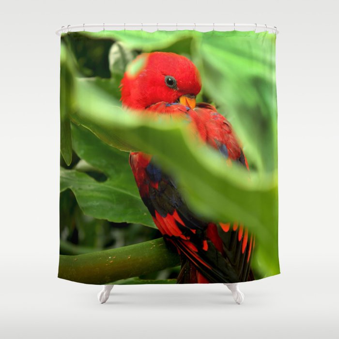 Red Lory Shower Curtain