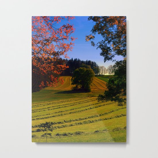 Tree watching in springtime Metal Print