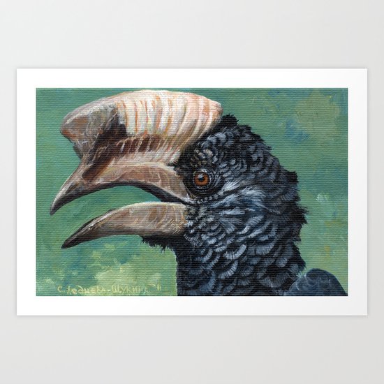 Silvery-cheeked Hornbill AQ31 Art Print