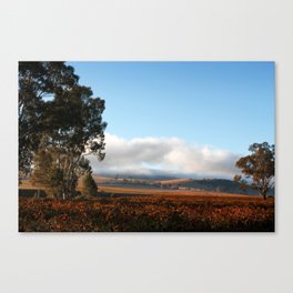 Barossa Valley Sunrise Landscape Canvas Print