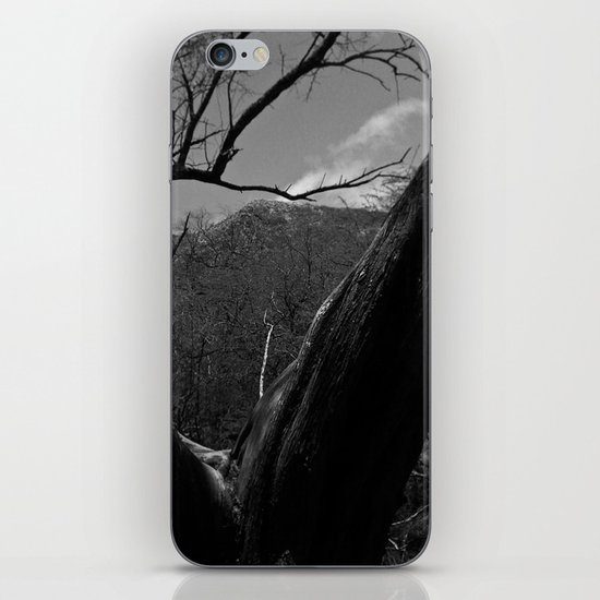 Split Tree iPhone & iPod Skin
