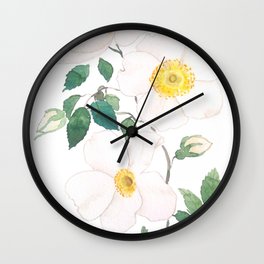 white wild Rosa rubiginosa watercolor Wall Clock