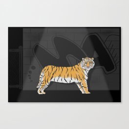 A Tiger Dream Canvas Print