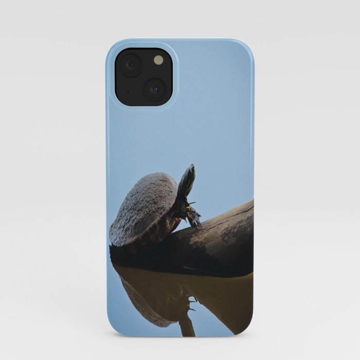 Turtle on The Lake (Color) iPhone Case