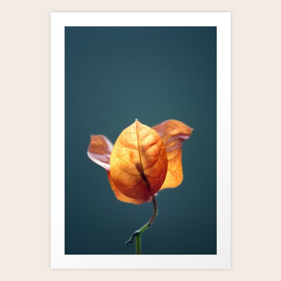 Wait Here Art Print