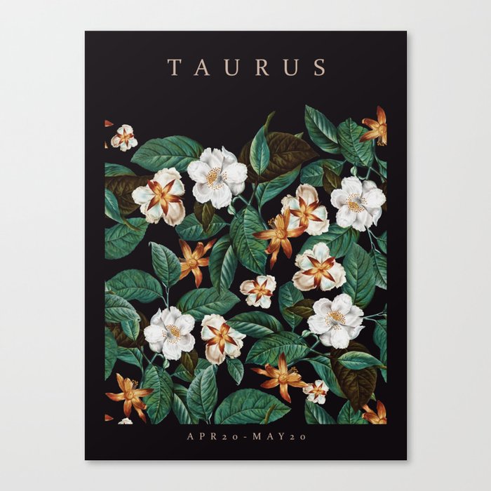 TAURUS II Canvas Print