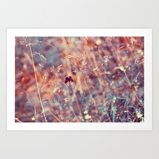 the fleeting kiss of summer Art Print