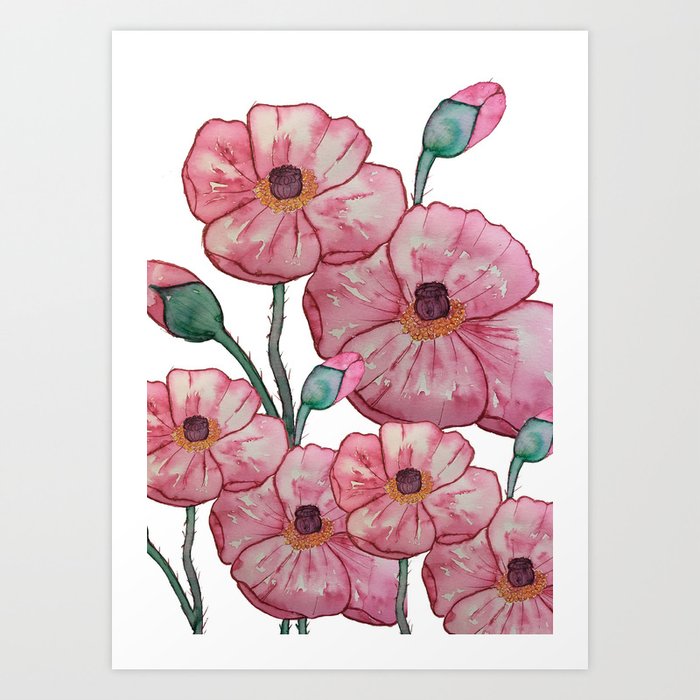 Poppy Flowers Art Print
