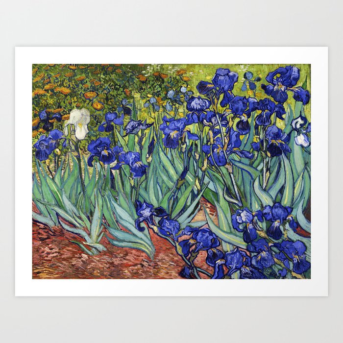 Irises by Vincent van Gogh Kunstdrucke | Gemälde, Oil, Impressionism, Expressionismus, Vintage, Vincent, Van-gogh, Irises, Blumen, Floral
