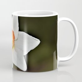 White and Orange Daffodil Coffee Mug