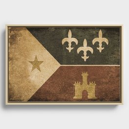 Acadian Flag Framed Canvas