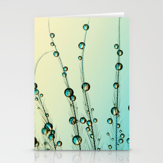 Feather Drops with Blue Stationery Cards
