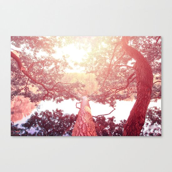 Red woods #trees Canvas Print