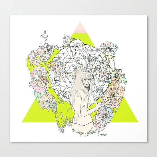 für owl Canvas Print