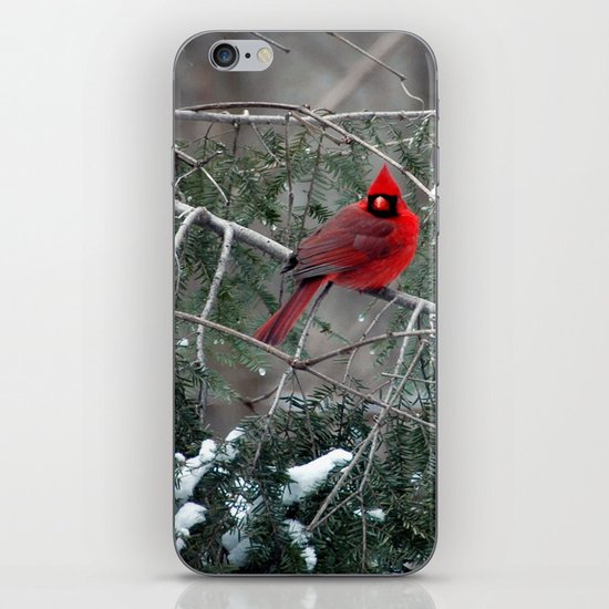 Winter Cardinal iPhone Skin