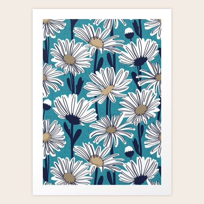 Daisies Flower Oxford Best Flower Site