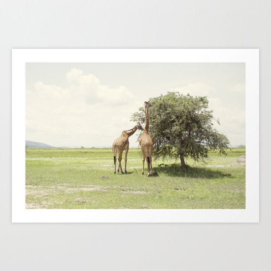 giraffes::rwanda Art Print