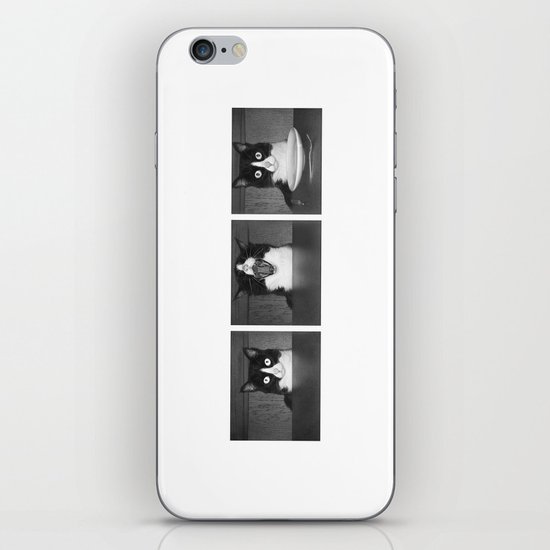 cat iPhone & iPod Skin