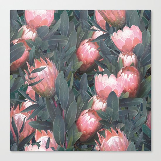 Proteas party Canvas Print