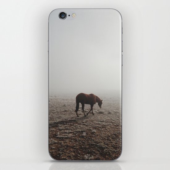 Fogged Horse iPhone & iPod Skin