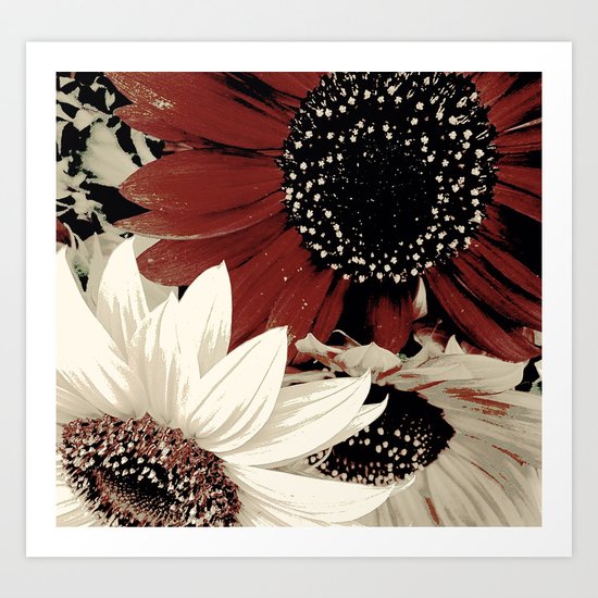 Frosted Sunflowers Art Print