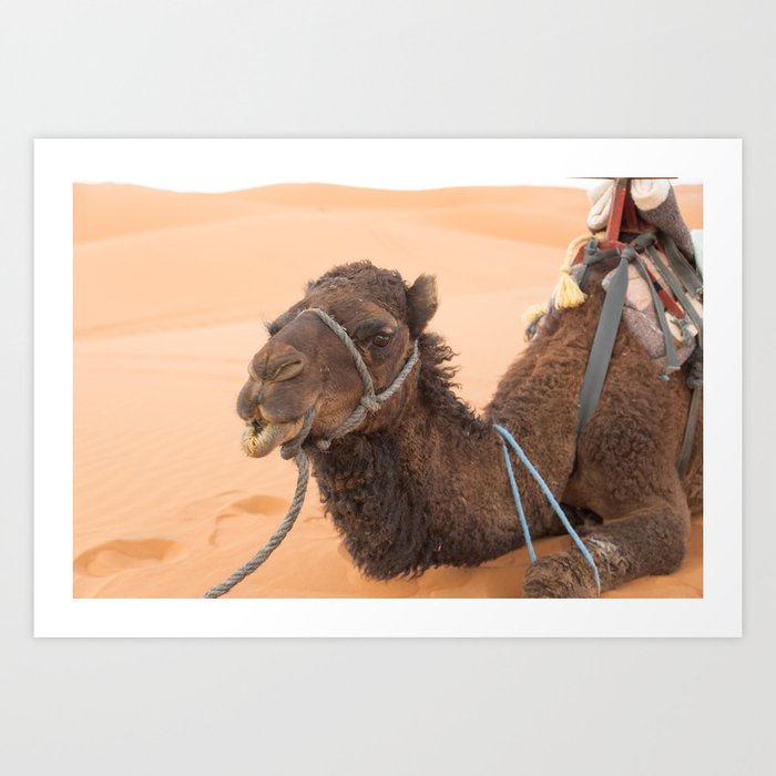 Desert Trek - Sahara, Morocco Art Print
