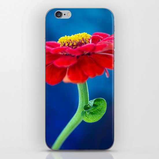 COLOR BLOCKING | RGB iPhone & iPod Skin