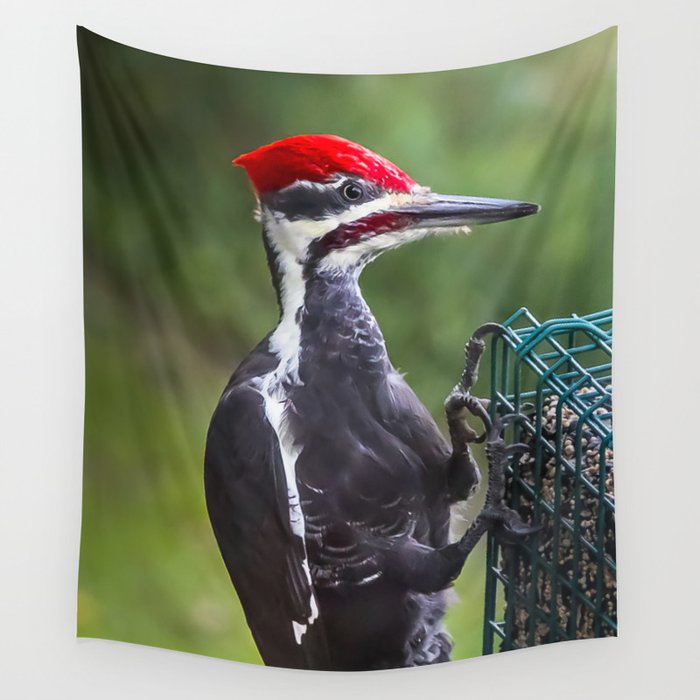 Pileated Woodpecker Wall Tapestry