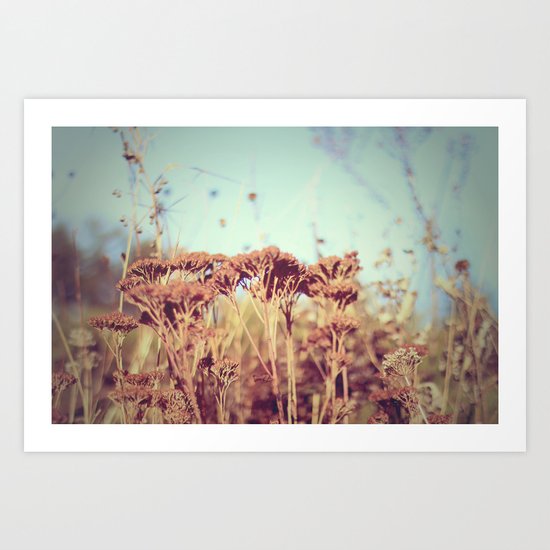 plants - Retro Art Print