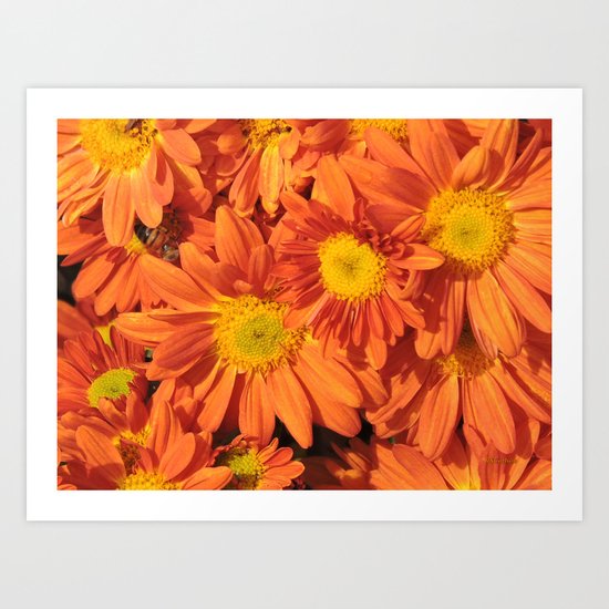 Petals a L'orange Art Print