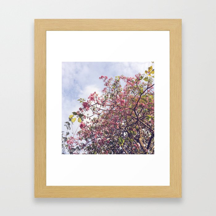 Pink Flowers Framed Art Print