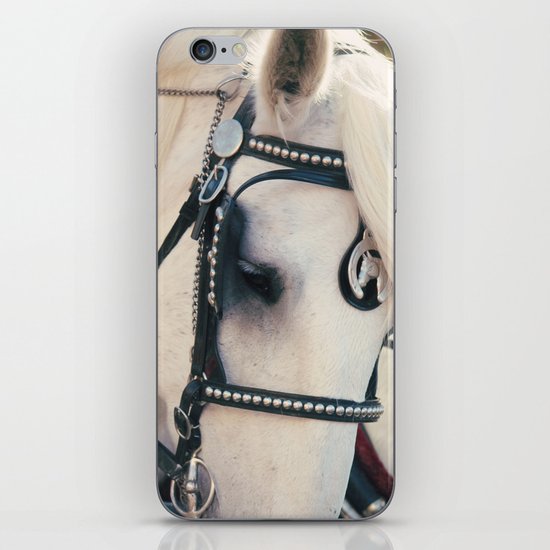 True Beauty iPhone & iPod Skin