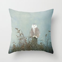 You Are Too Beautiful Throw Pillow