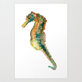 Equatic Seahorse Art Print