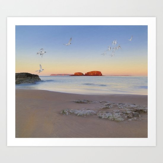 Oysters Art Print