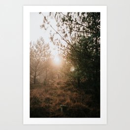 Sunset in a foggy forest | adventurous fine art travel photography wanderlust photo print Veluwe The Netherlands by Tumbleweed & Fireflies Photography Art Print