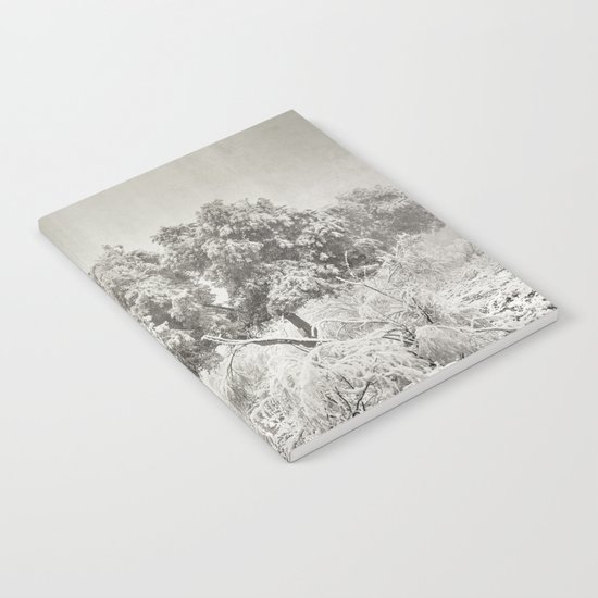 "Wandering into the fog" Notebook