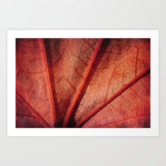 leaf abstract Art Print