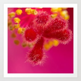 Hibiscus Flower Art Prints to Match Any Home's Decor | Society6
