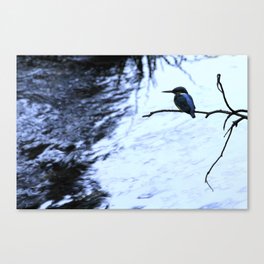 Watching the Stream - Abstract Zen Waterscape Canvas Print