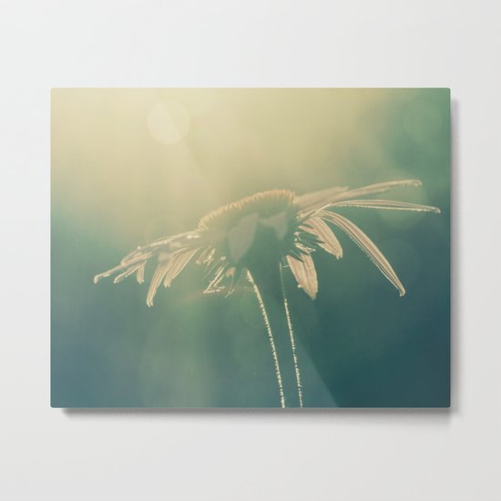 bask Metal Print