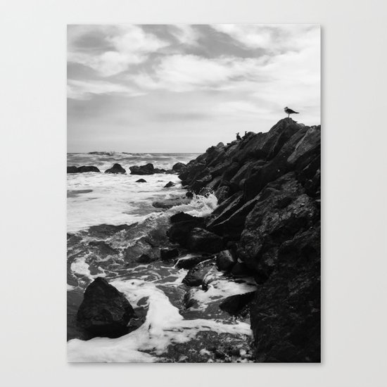 Dark beach Canvas Print