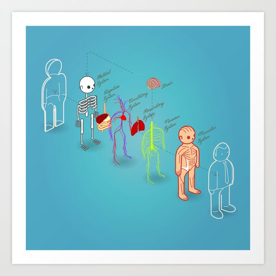 anatomy exploded Art Print