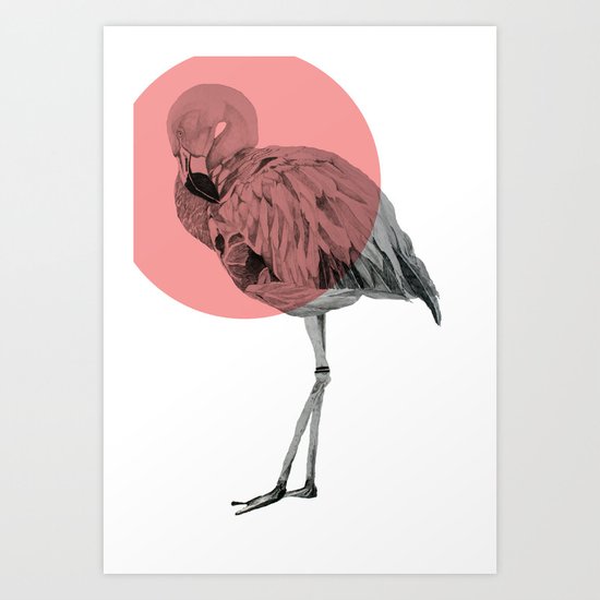 flamingo Art Print