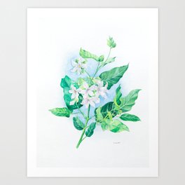 Vine Flowers Art Print