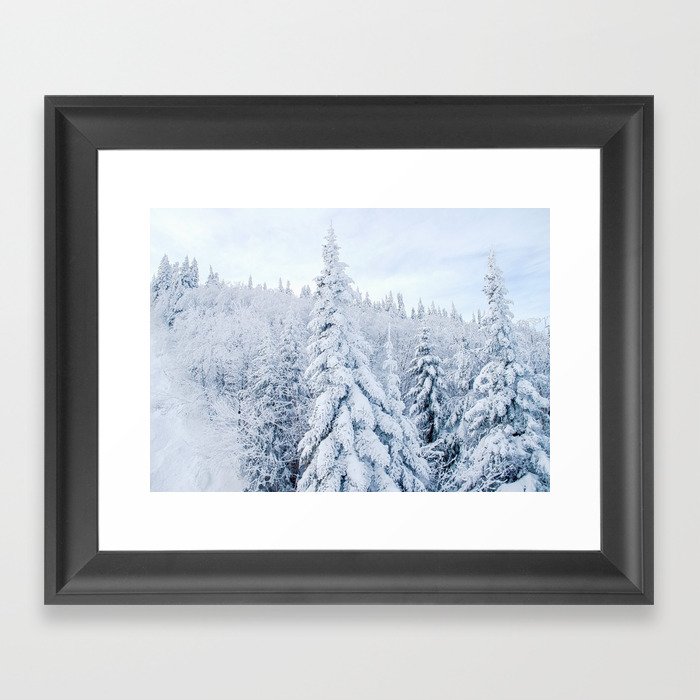Snow covered forest Framed Art Print