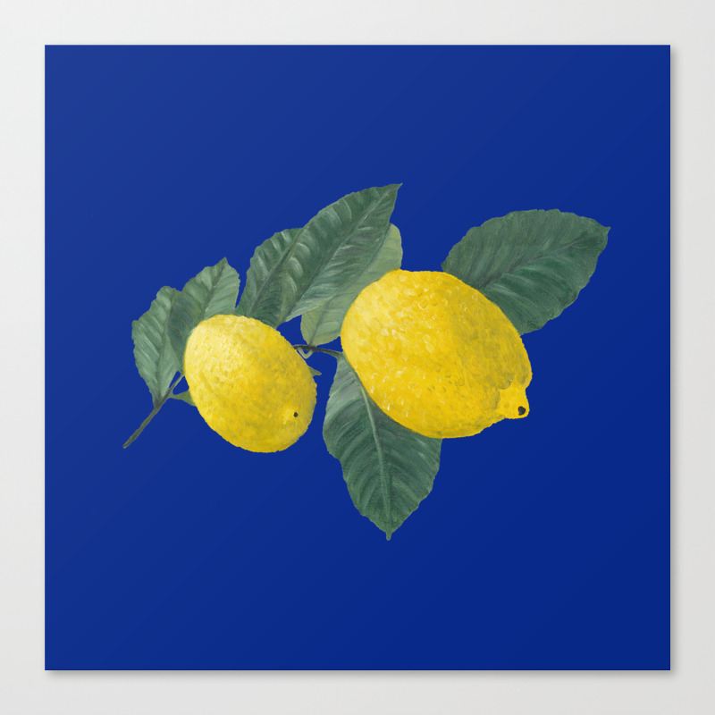 Oil Painting Of A Lemon Tree Branch With Two Lemons Isolated On