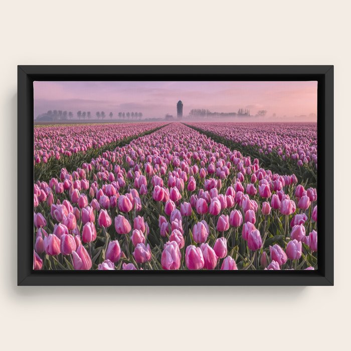 Framed Canvas