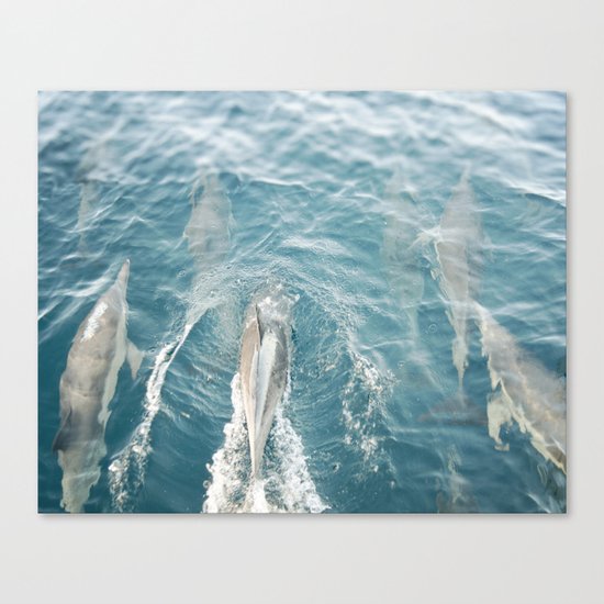 Dolphins Come Play Canvas Print