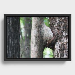 Tree sex  Framed Canvas